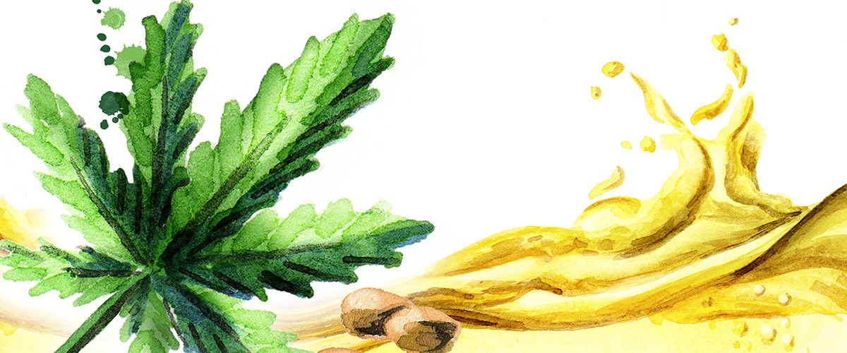 CBD Oil Peppermint Flavor Machias 
      ME